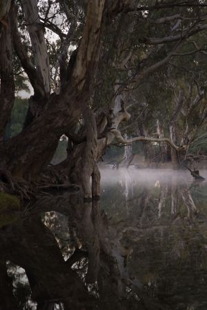 Campaspie River, Rochester, Victoria, Australia 2009